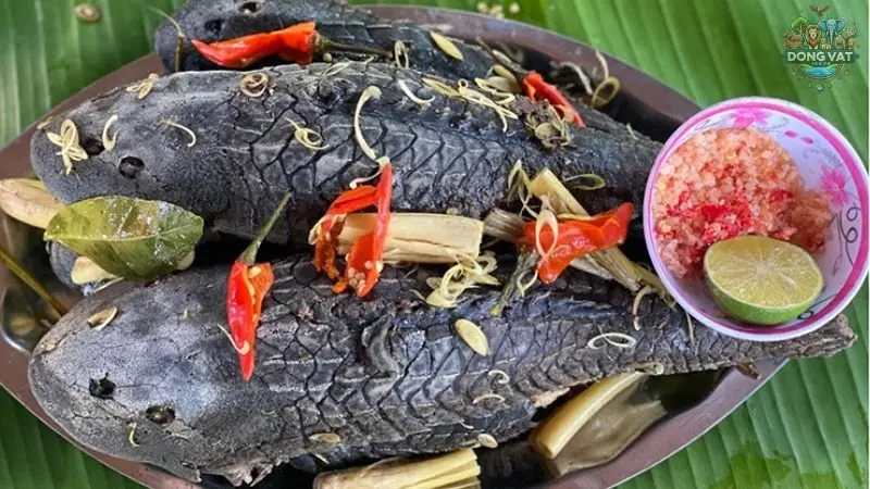 Cá dọn bể có ăn được không?