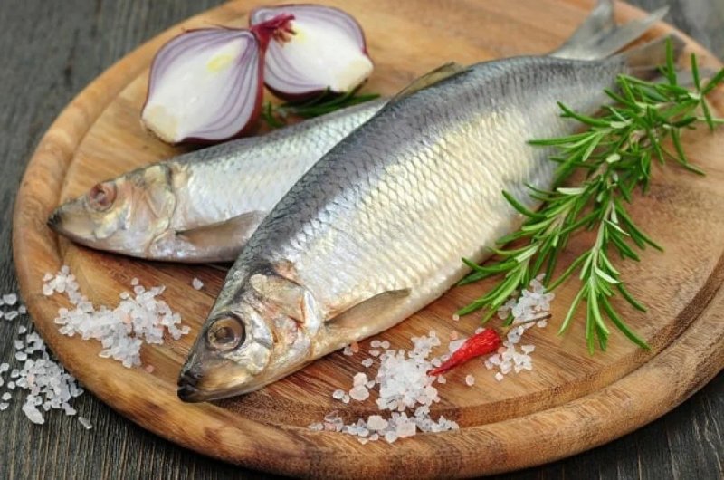 Hình ảnh của cá trích chất lượng cao 4