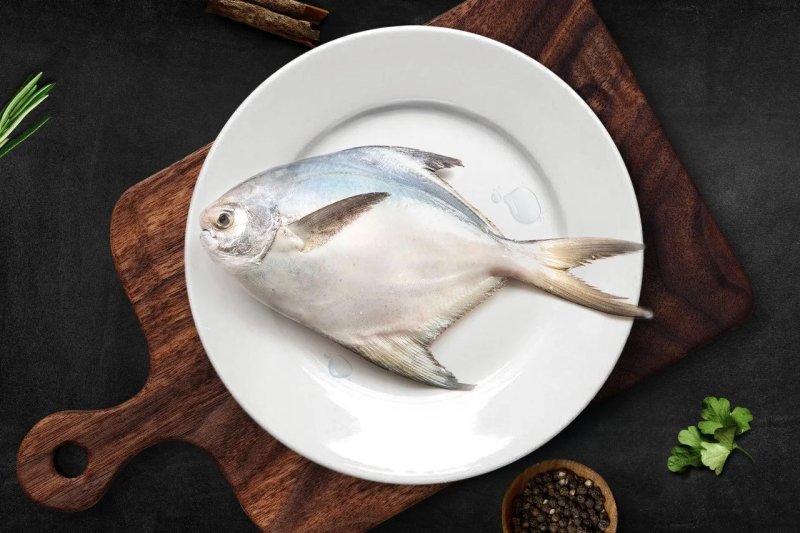 Tổng hợp hình ảnh cá chim trắng đẹp nhất 7