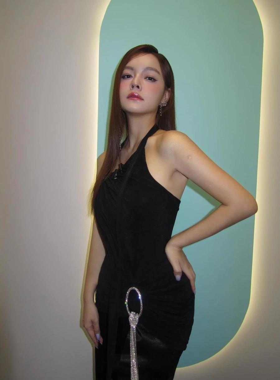 Ca sĩ Phạm Quỳnh Anh là một trong những nghệ sĩ nổi bật trong làng nhạc Việt.