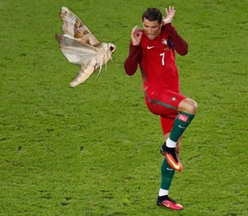 Ronaldo khóc meme siêu hài, biểu cảm cực chất