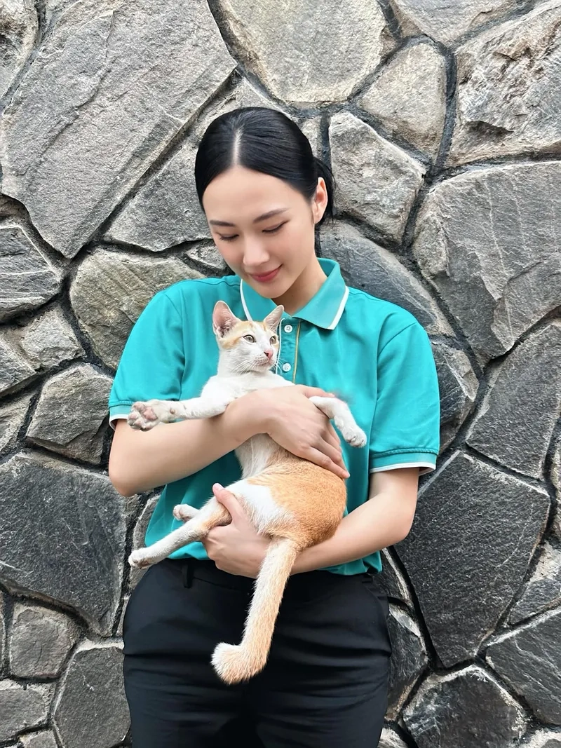 Tò mò Angela Phương Trinh phẫu thuật và hành trình thay đổi nhan sắc