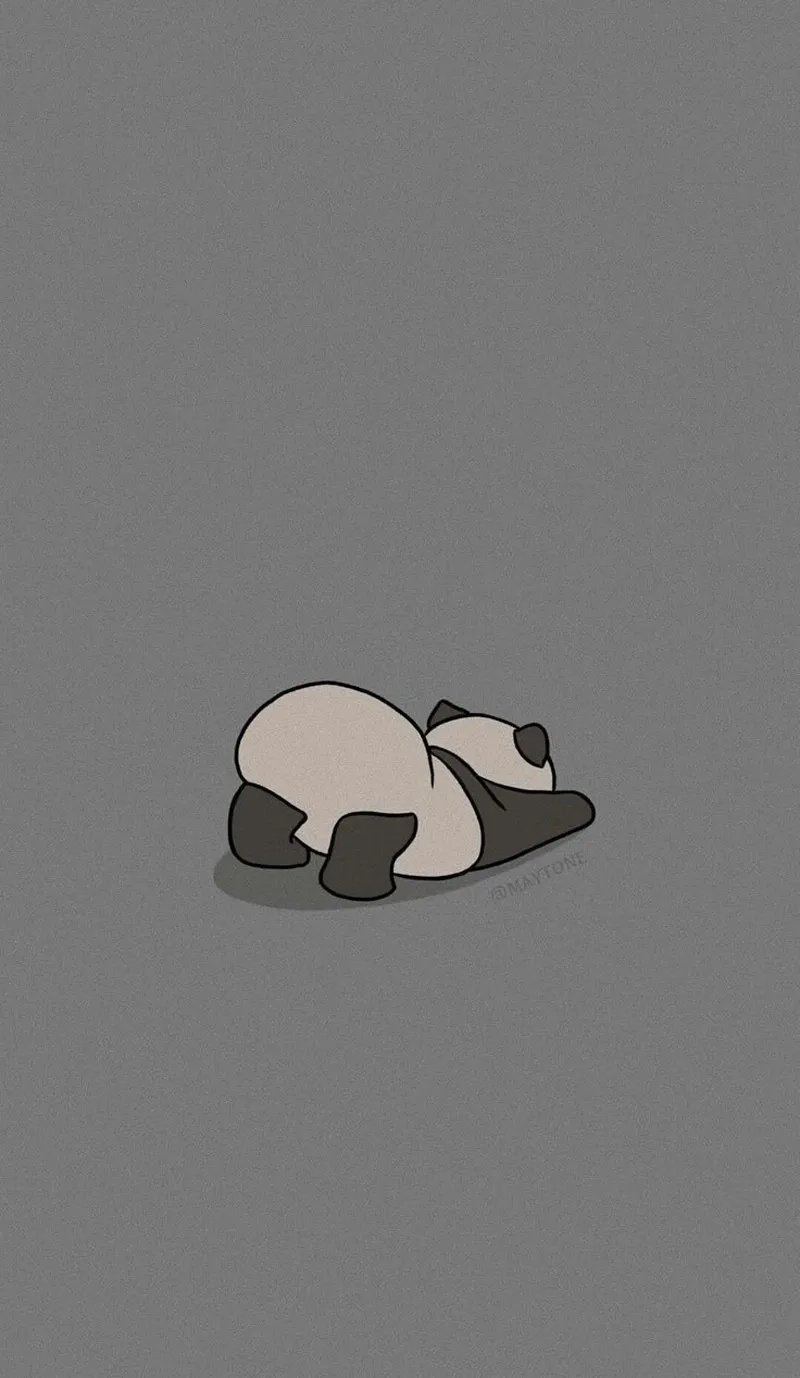 Khám phá gấu trúc mèo chibi mập siêu hài hước