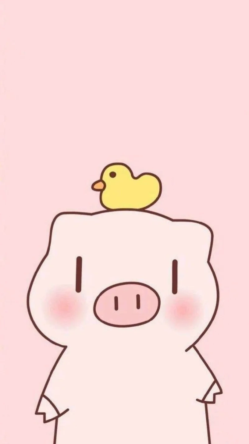 Khám phá hình heo cute chibi để làm sáng tâm trạng