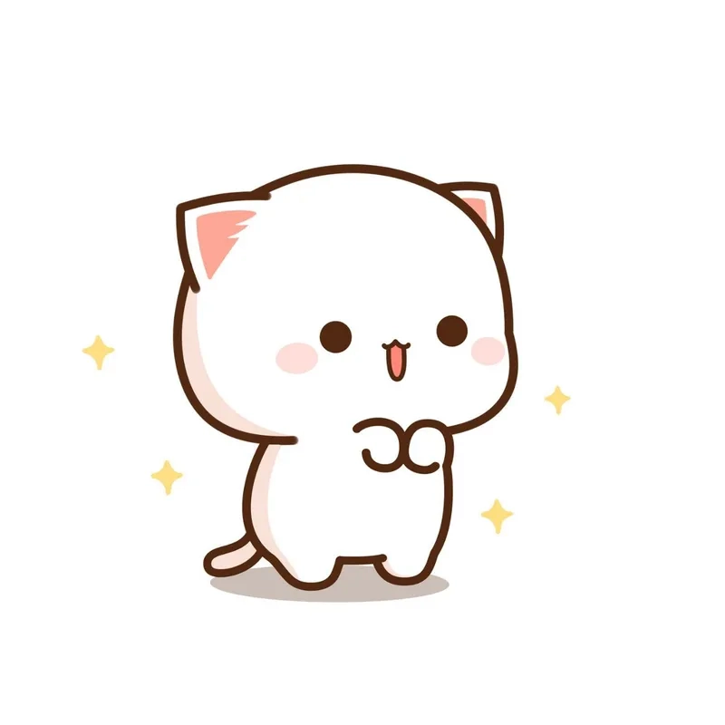 Mèo béo chibi siêu đáng yêu chờ bạn khám phá