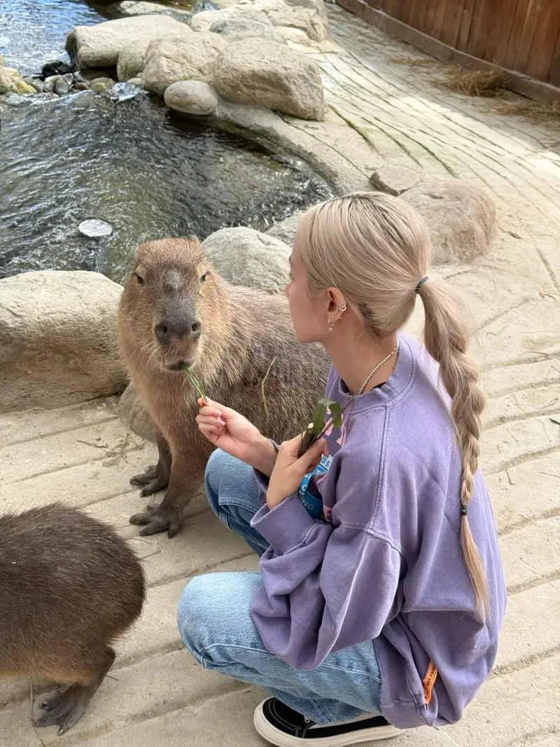 Nghe ngay ca sĩ Phương Ly với giọng hát ngọt ngào khó cưỡng