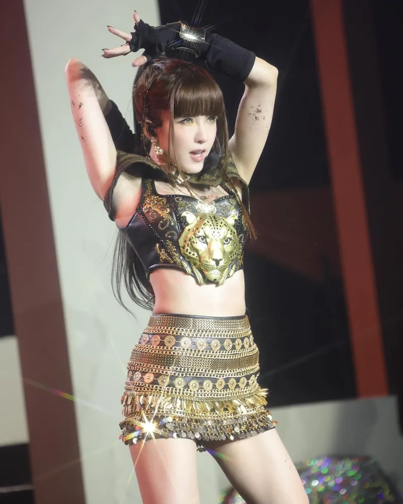 Bạn đã biết Thiều Bảo Trâm là ai và hành trình nổi tiếng của cô chưa