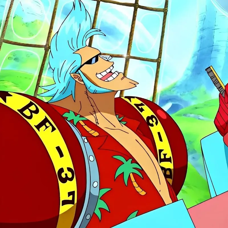 Cặp đôi hài hước franky x usopp của nhóm