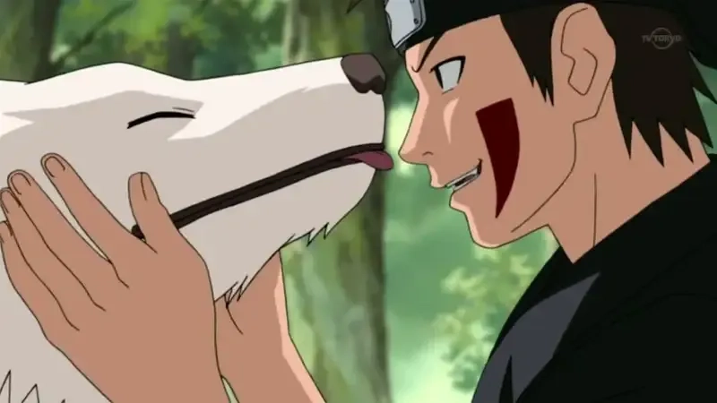 Thông tin tuổi của Kiba Inuzuka age
