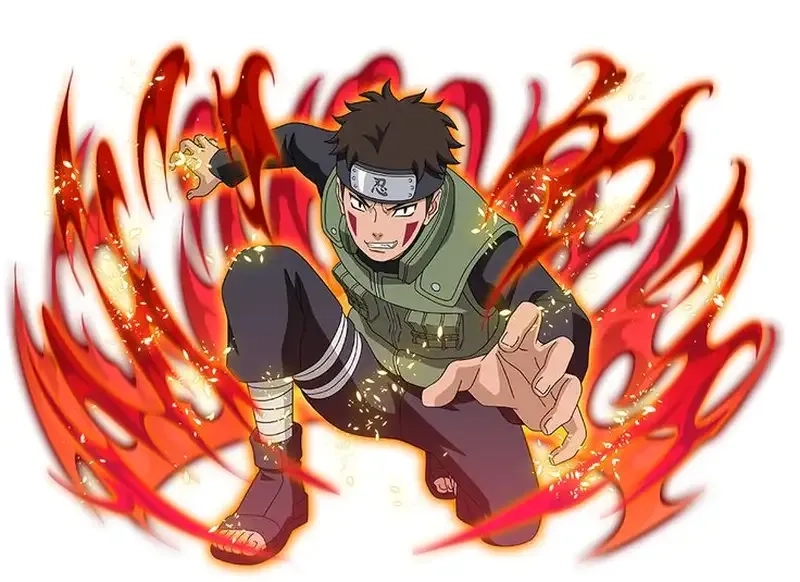 Chú chó trung thành Kiba Inuzuka dog