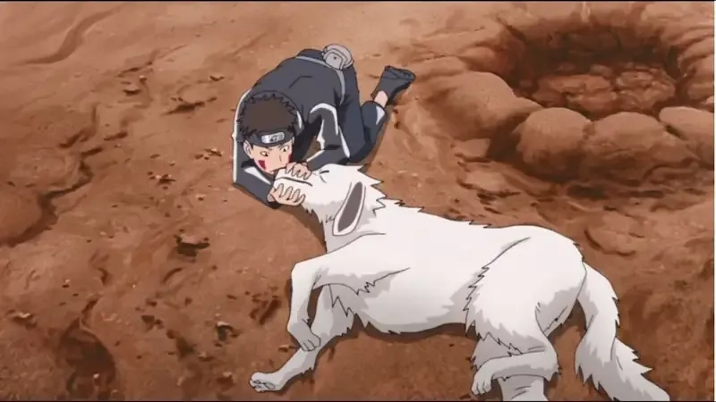 Tên chị em Kiba Inuzuka sister name