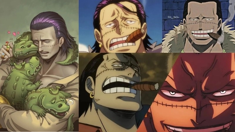 Nhân vật Crocodile là ai trong mắt fan