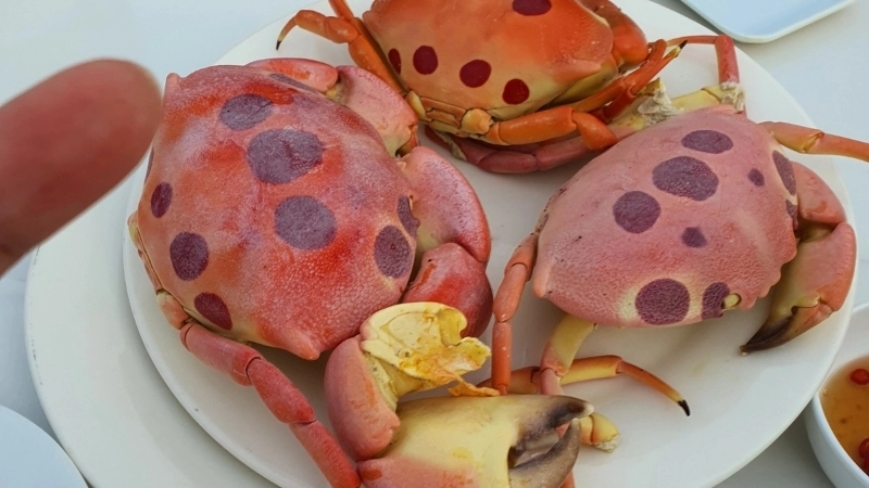 Một số món ăn chế biến từ loài cua mặt trăng