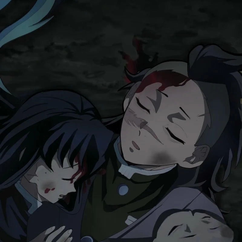 Fan hâm mộ yêu thích câu chuyện sanemi x genya