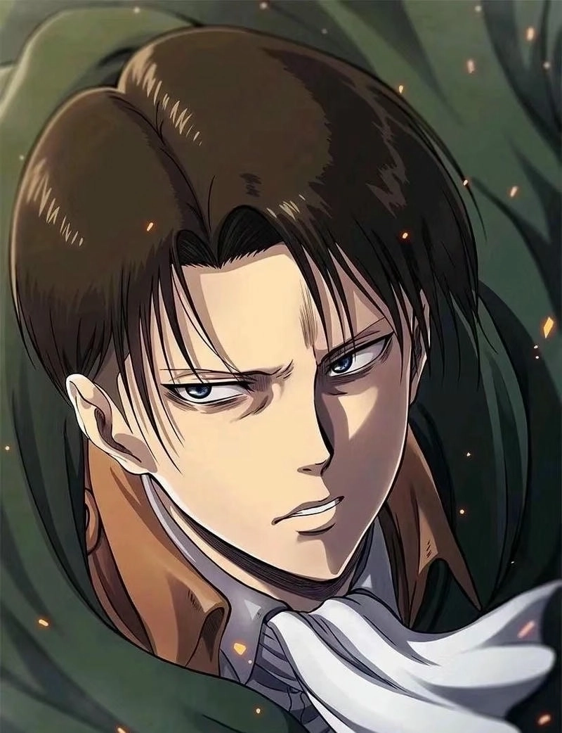 Nhiều người thắc mắc levi ackerman yêu ai