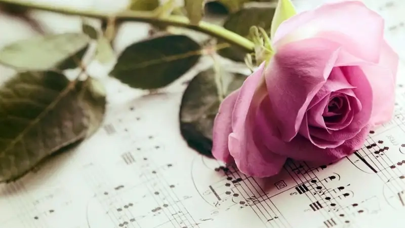 Phong cách nam tính với Avatar hoa hồng cho nam độc đáo