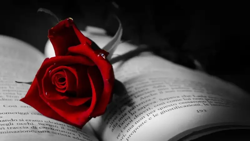 Chia sẻ cảm xúc với Avatar hoa hồng buồn sâu lắng