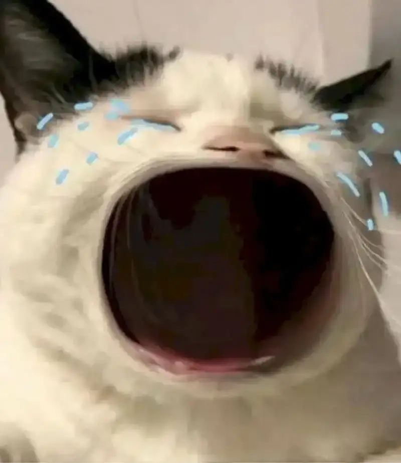 Thả hồn cùng cảm xúc qua từng khung meme tâm trạng