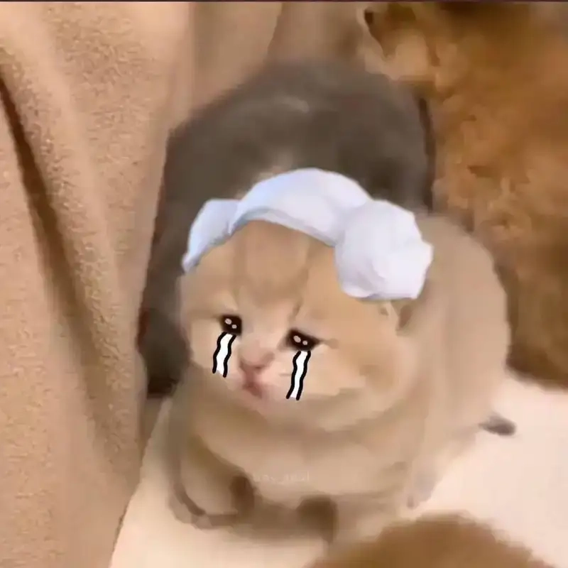 Đôi mắt ướt nhòa theo từng khung meme buồn rớt nước mắt