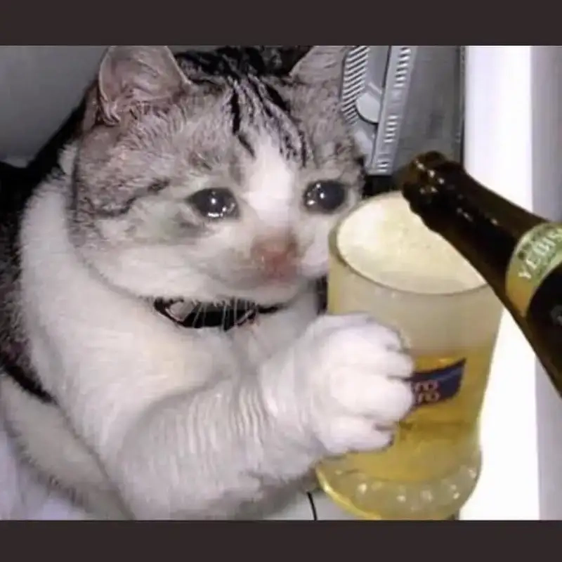 Tiếng lòng bật khóc giữa đêm qua từng meme khóc thét