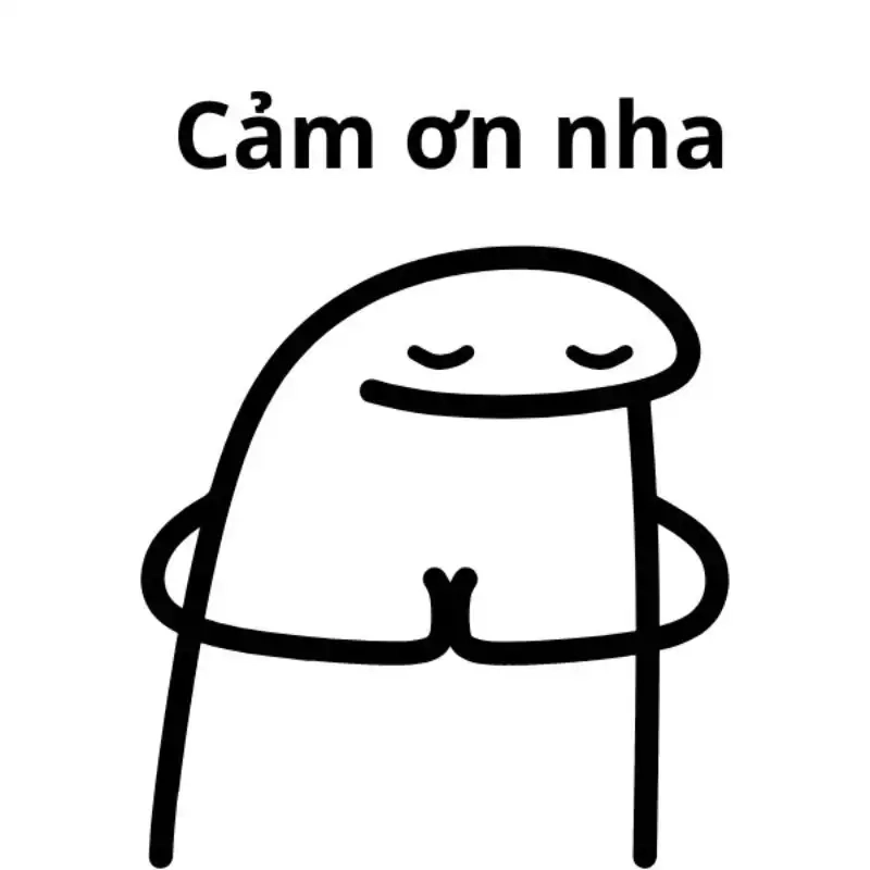 Thể hiện lòng biết ơn qua meme cảm ơn xin cảm ơn