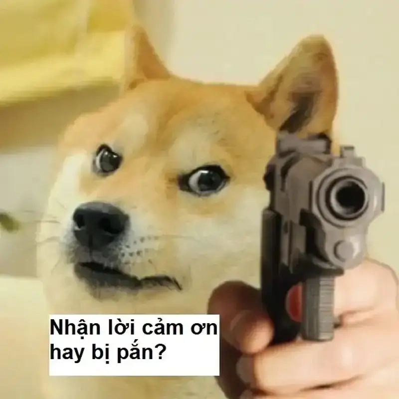 Giải trí nhẹ nhàng với meme cảm ơn hài