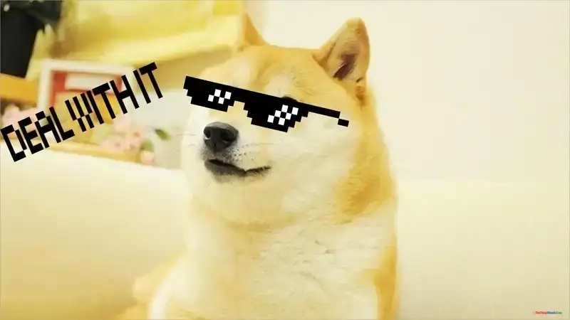 Biểu cảm tinh nghịch của meme con chó liếc đầy hài hước