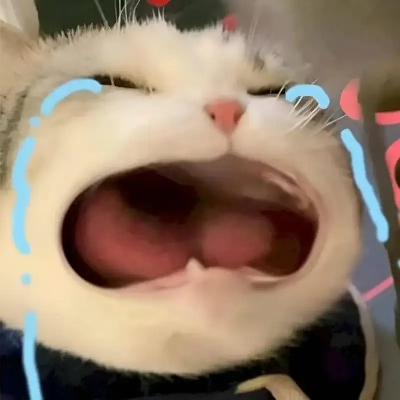 Giới trẻ lan tỏa meme đau khổ kiểu meme đau