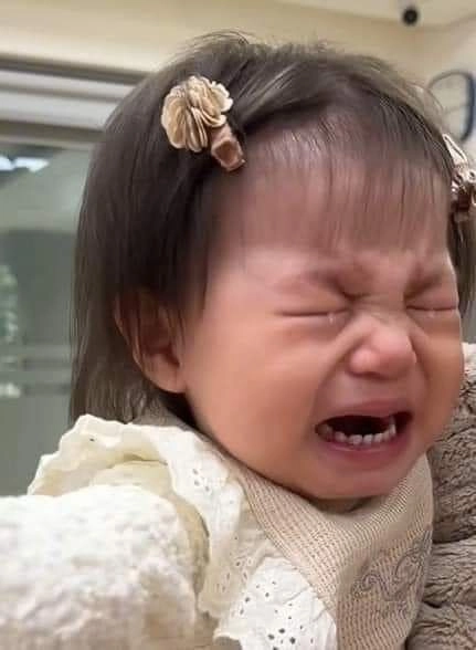 Hình ảnh meme đau khổ nổi bật là meme mèo đau khổ