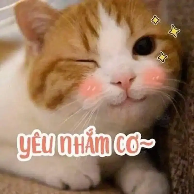 Meme hạnh phúc là như thế nào