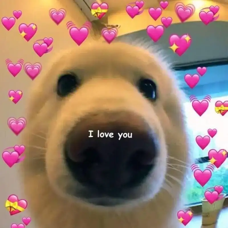 Trao yêu thương qua từng hình ảnh chúc hạnh phúc bình an meme