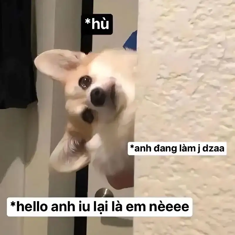 Cảm nhận niềm vui trọn vẹn cùng meme hạnh phúc quá