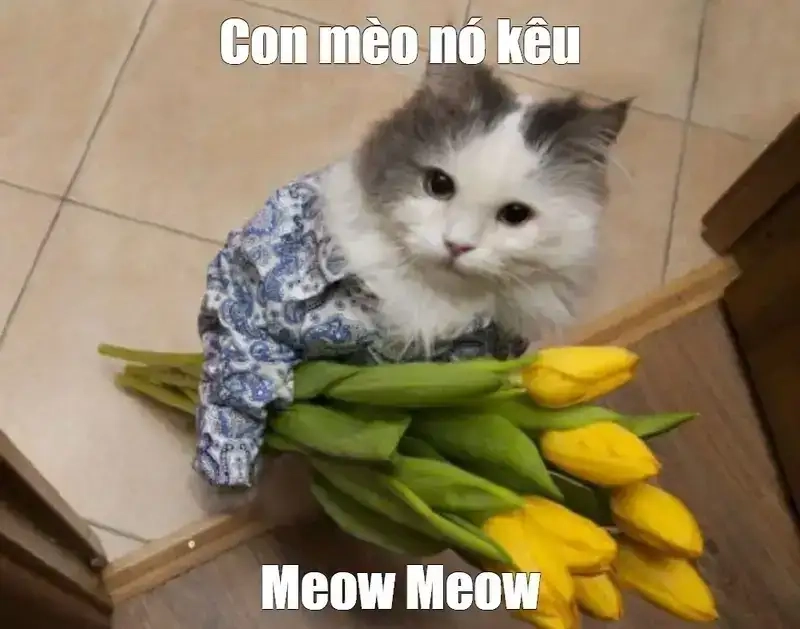 Suy ngẫm và mỉm cười cùng đợi chờ là hạnh phúc meme