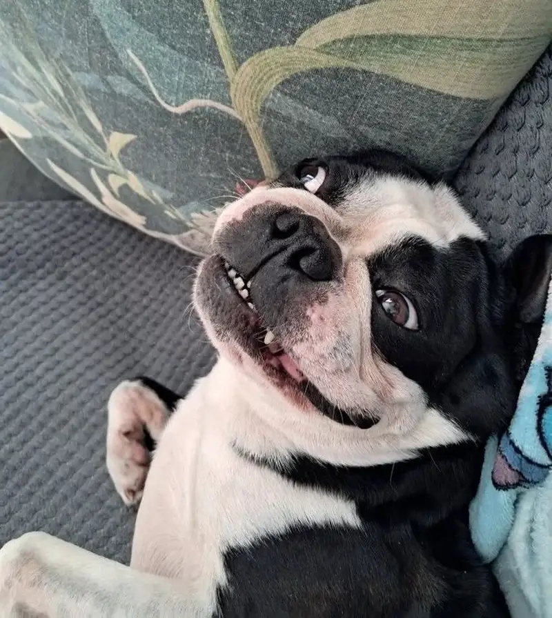 Meme anh da đen hoảng hốt nổi