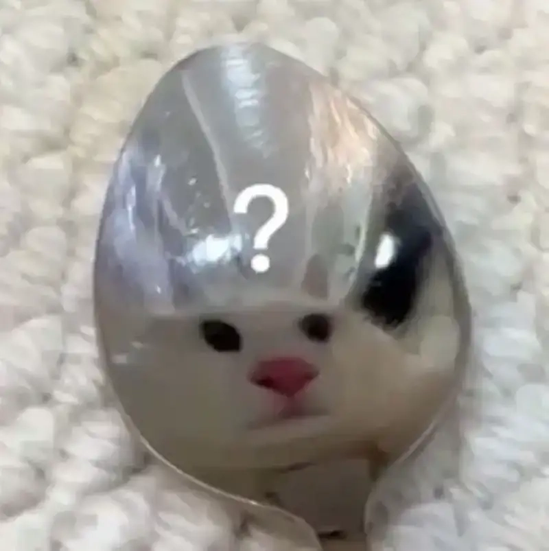 Chiêm ngưỡng hình ảnh meme hỏi chấm hài hước