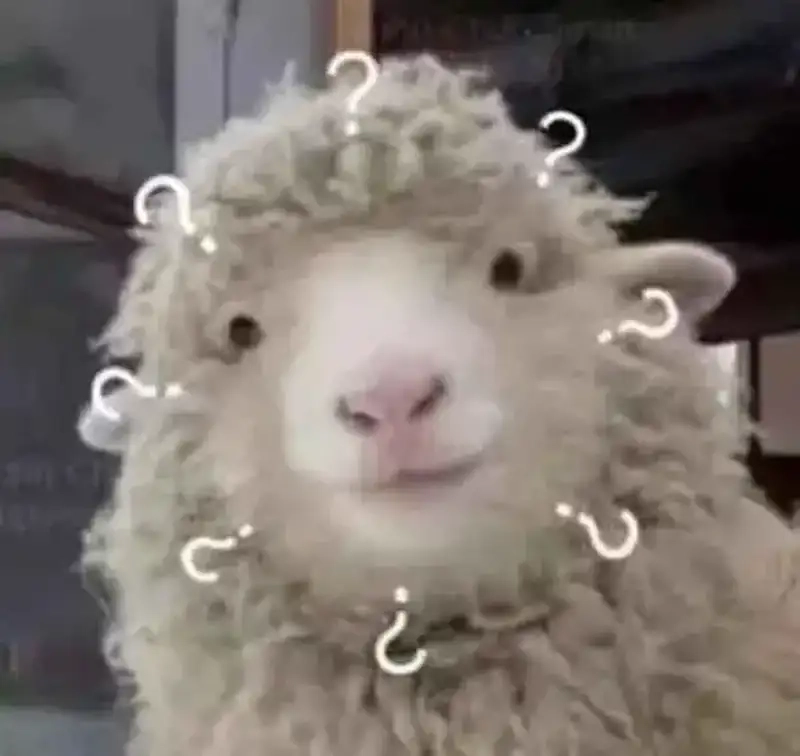 Thả tim cho hình meme hỏi chấm cực cute