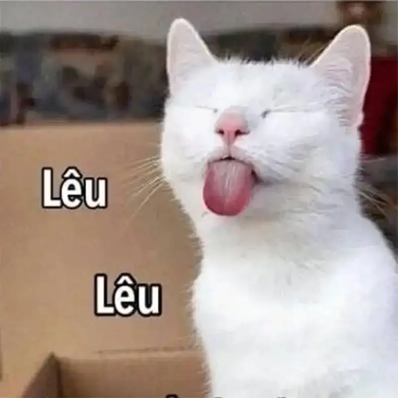 Cười thả ga với meme lè lưỡi lêu lêu