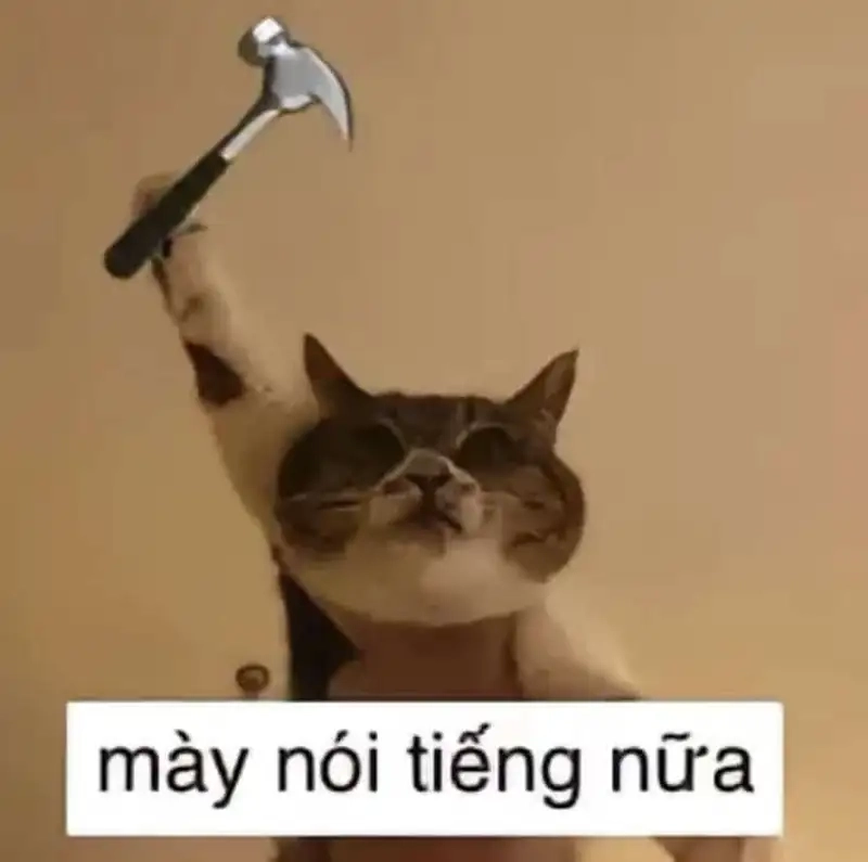 Gây sốt cộng đồng mạng với meme mèo đánh lộn hài hước