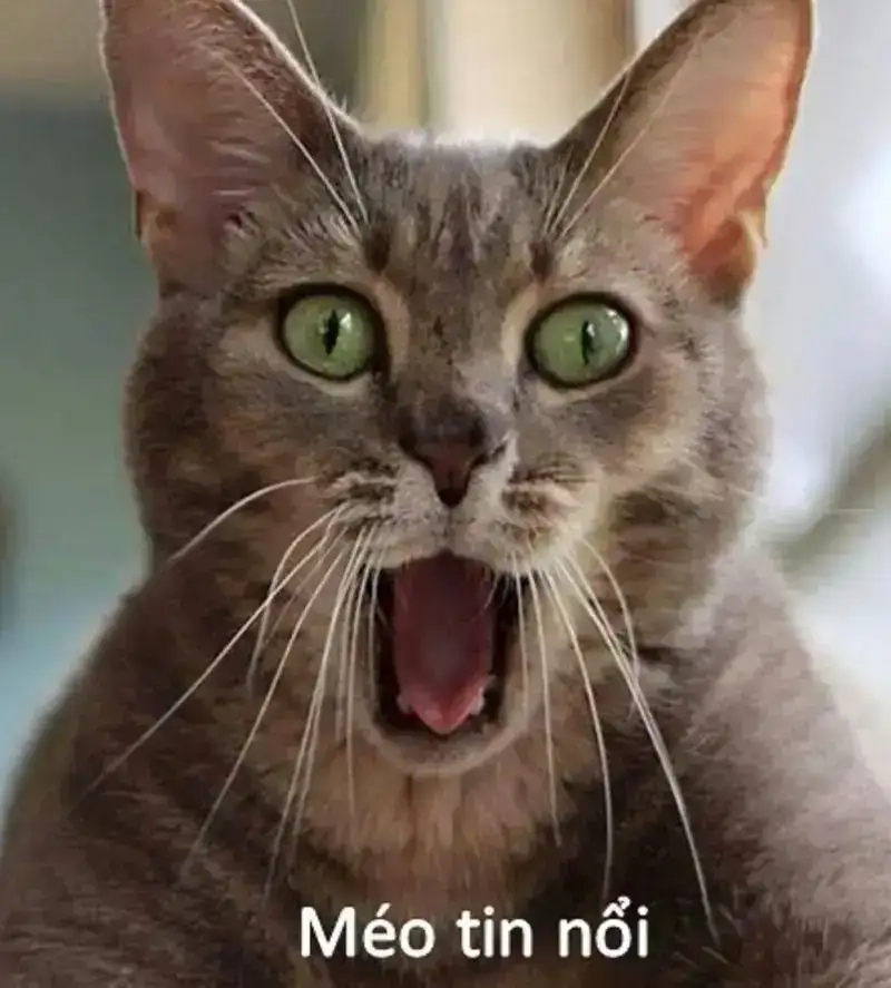 Thả tim ngay loạt meme mắt chữ O mồm chữ A khiến dân mạng dậy sóng