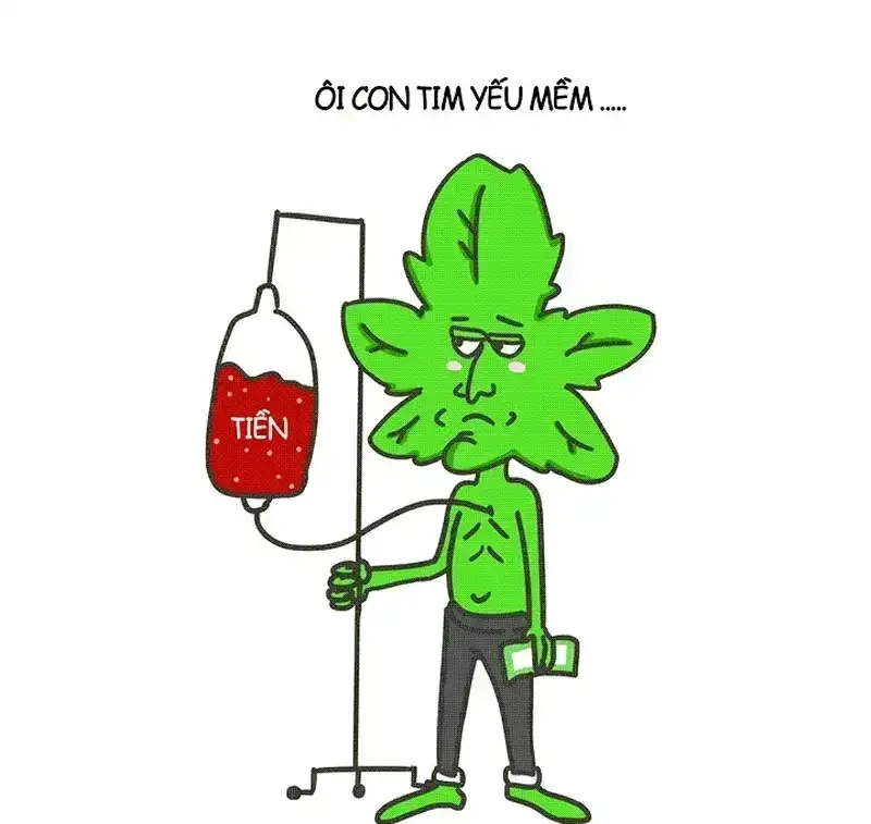 Khám phá niềm vui với thẻ hộ nghèo meme