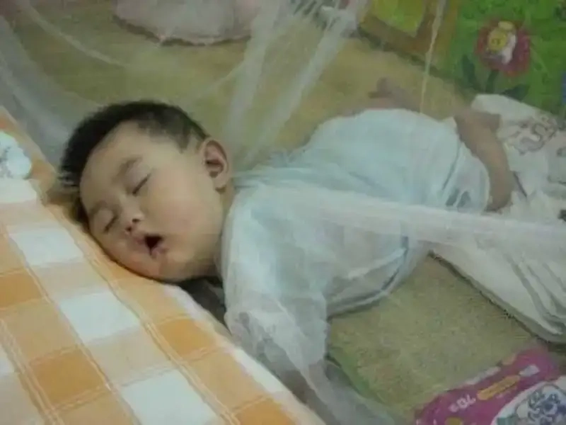 Meme ngủ quên siêu đáng yêu khiến ai cũng bật cười