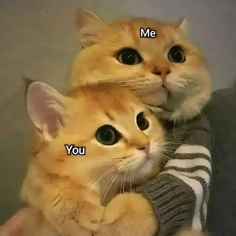 Meme tình yêu là như thế nào