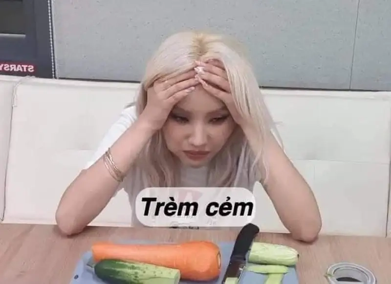 Cảm xúc chân thật qua meme trầm tư mới