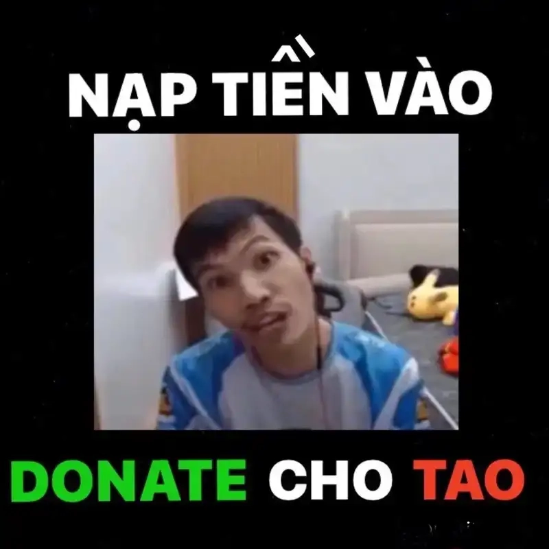 Ngắm meme mèo xin tiền nhìn là muốn cho ngay