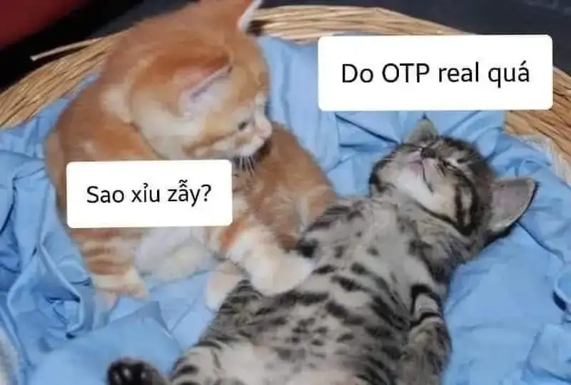 Tuyển chọn meme té xỉu siêu hài khiến ai cũng bật cười
