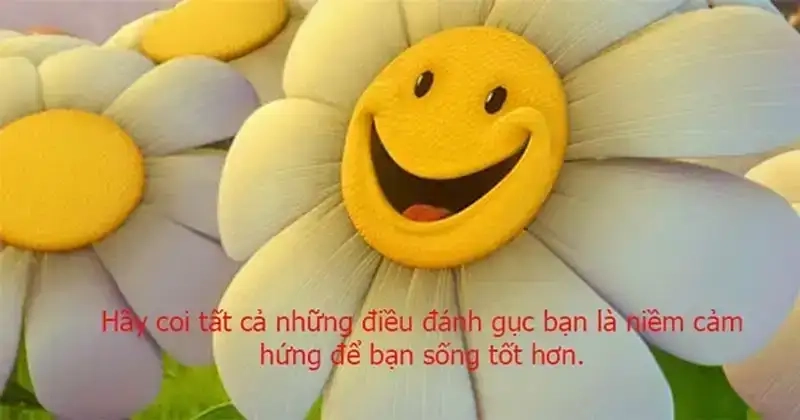 Đón nhận niềm vui nhỏ nhắn nhờ Meme cute