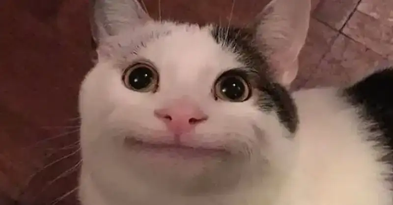 Học cách hạnh phúc hơn qua Meme yêu bản thân