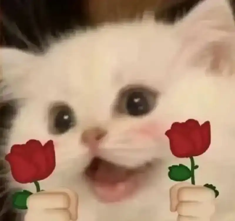 Cảm nhận sức sống tích cực cùng Meme yeah boy