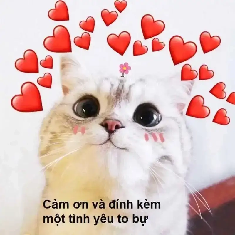 Truyền cảm hứng tốt đẹp bằng Meme khen ngợi