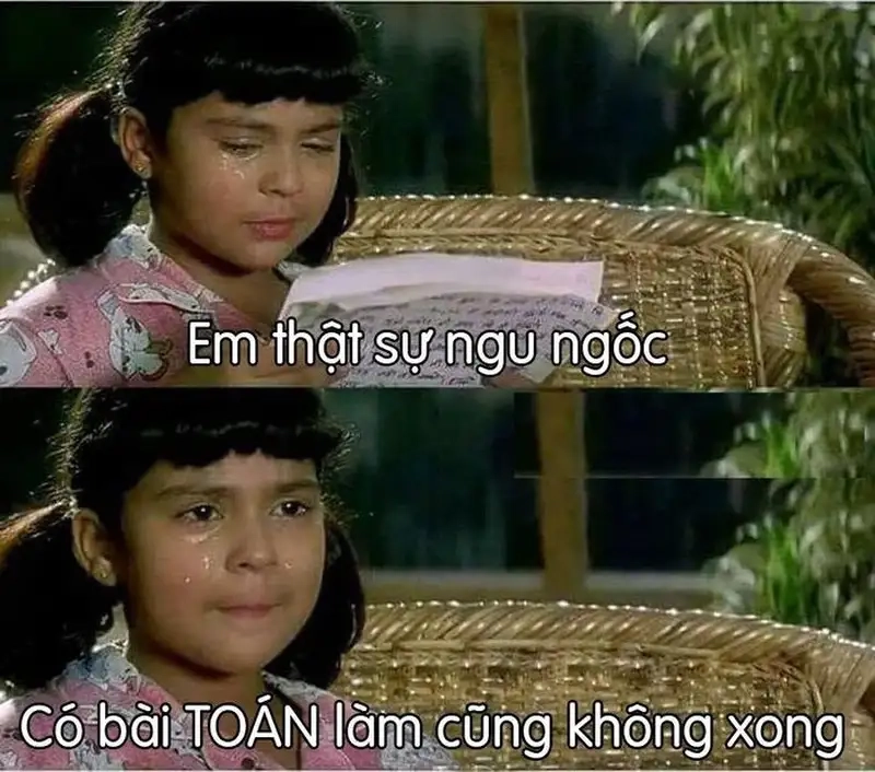 Ảnh meme ngu dốt xem là cười muốn xỉu